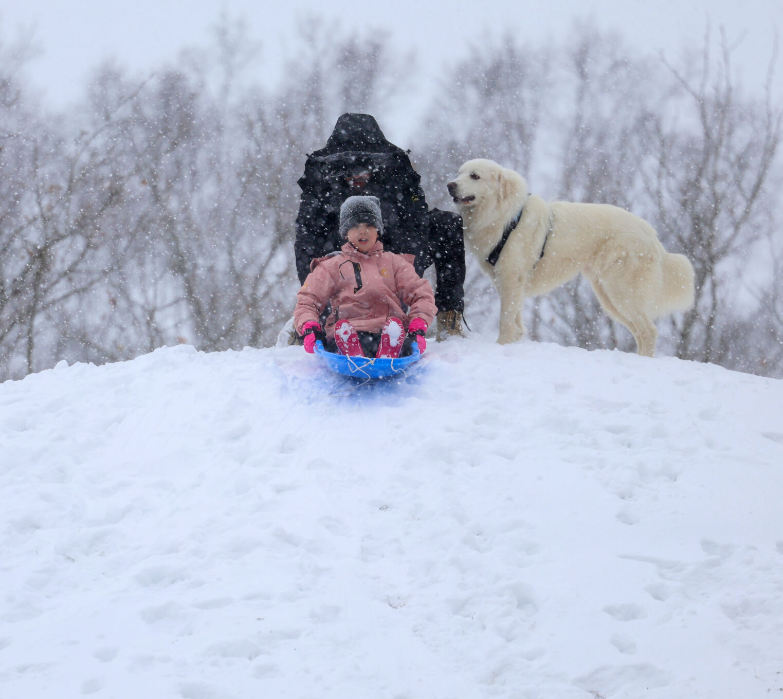 Family sleds in Louisville snow - Jan. 5, 2025.JPG